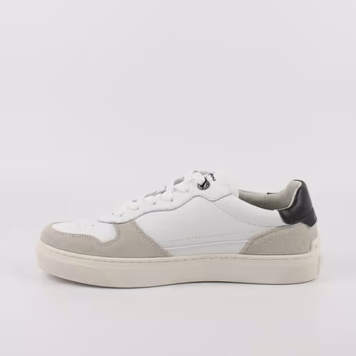 PMS300008-803_1