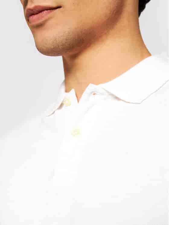 PM541009-800_3